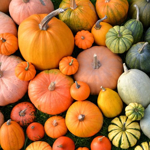 Pumpkins