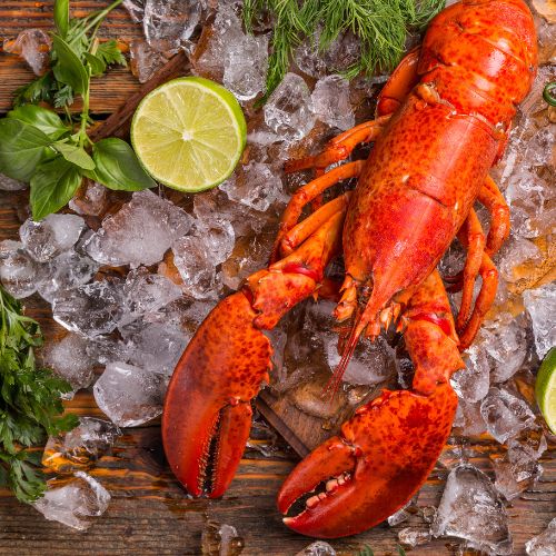 cooked lobster