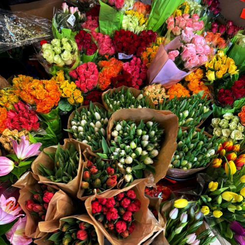 Fresh cut flowers